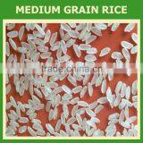 Vietnamese Rice : Long , Round, Short Grain, Jasmine, Japonica, Broken,... thumbnail-6
