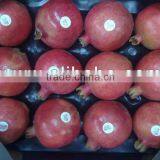 Indian Fresh Pomegranates thumbnail-1