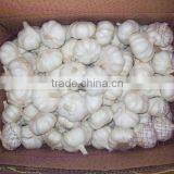 2015 China New Common White Garlic thumbnail-1