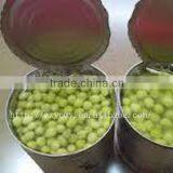 Canned Green Peas in Brine thumbnail-2