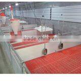 Pig Feed Line Save Time and Labor Cost Toatlly Automatically