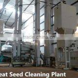 Wheat Seed Cleaning Plant