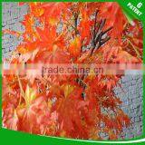High Quality Fake Ornament Red Maple Tree thumbnail-4