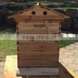 Beehive Box , Super Quality Flowhive Box ,beehive for Sale.flowhive With Flow Frame thumbnail-5