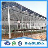 Steel Structure Glass House Glass Greenhouse thumbnail-2