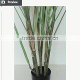 High Quality Home Decoration Artificial Yucca Plant Potted thumbnail-2