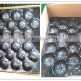 2014 Hot Selling OEM Available Food Grade Thermoformed PP Plastic Trays for Apple thumbnail-5