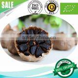 Supply l Black Garlic 100% Natural thumbnail-1
