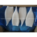 Seafood supplier squid exporter frozen squid tube and tentacle squid T+t