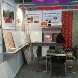 Hebei Gangtian Import & Export Co., Ltd company overview - view 1 thumbnail