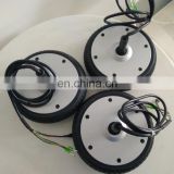 High Quality 6 Inch Electric Motor for Scooter