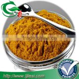 supply tumeric powder with low price