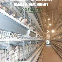 Layer Chicken Equipment thumbnail-4