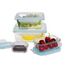 Borosilicate Glass Food Container