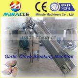 Bulk Shallot Garlic Clove Breaking and Separating Machine From Garlic Process Equipment thumbnail-3