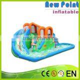 New Point 2015 Summer Beautiful Color Pool Water Slide