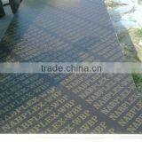 Cheap Price Black Film Faced Plywood Linyi Factory thumbnail-5