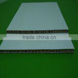 Honeycomb White Paper Cardboard From Shenzhen Honeycomb Paper Package Company From China