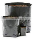 Biodegradable Black Grow Bags for Horticulture thumbnail-1
