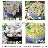 Sunflower Seeds Kernels Confectionary and Bakery Grade thumbnail-4