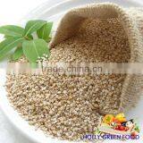 White Sesame Seeds for TAHINI JAM West African Natural Sesame FOB CIF CFR CIP World-wide Sales thumbnail-1