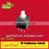 PBS22E01 DC Push Button Switch