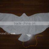 2012 Best Fashion Bio Dove Balloons