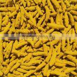 Leading Turmeric Supplier