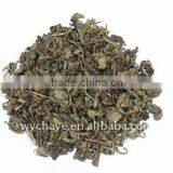 Brewing China Green Tea Gunpowder 9375 Zhejiang Tea Stock 2013 thumbnail-1
