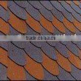 Asphalt Shingles thumbnail-1