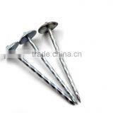 Galvanized Big Head Nails thumbnail-2