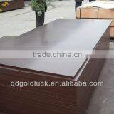 Film Faced Plywood Manufacturer / Film Faced Plywood With Brand Name / Film Faced Plywood Malaysia thumbnail-1