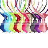 Adjustable Dog Neck Tie / Cat Bow Tie / Pet Necktie thumbnail-5