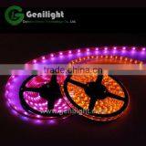 5050 Rgbw Led Strip thumbnail-5