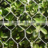 Vegetables Garden Fence Mesh/chicken Mesh thumbnail-1
