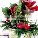 Glass Lids for Cookware thumbnail-1