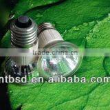JDR Halogen Lamp