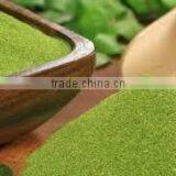 MORINGA POWDER/ NUTRITION FOOD