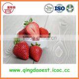 For Sale Bulk Fresh Strawberry thumbnail-3