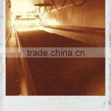 Taxus Baccata Dried Leaves thumbnail-3