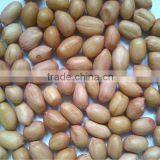 Java Peanuts thumbnail-3