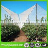 HDPE orchard strong protection anti hail net for