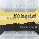 100 Pcs Assorted Steel Screw