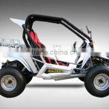 EEC 250cc CVT Transmission Beach Buggy thumbnail-4
