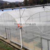 Greenhouse Tomato thumbnail-5