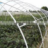 Tunnel Greenhouse thumbnail-6