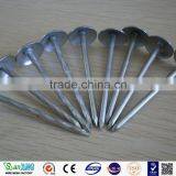 Q195 Umbrella Head Twist Shank Roofing Nails thumbnail-1