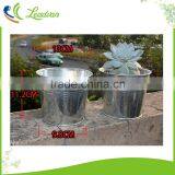 Mini Iron Flower Buckets With Tray thumbnail-6