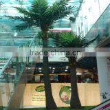 SJ2001116 High Quality Cocount Tree Factory Outlet thumbnail-6