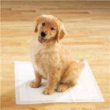 Pet Pad Machines thumbnail-2